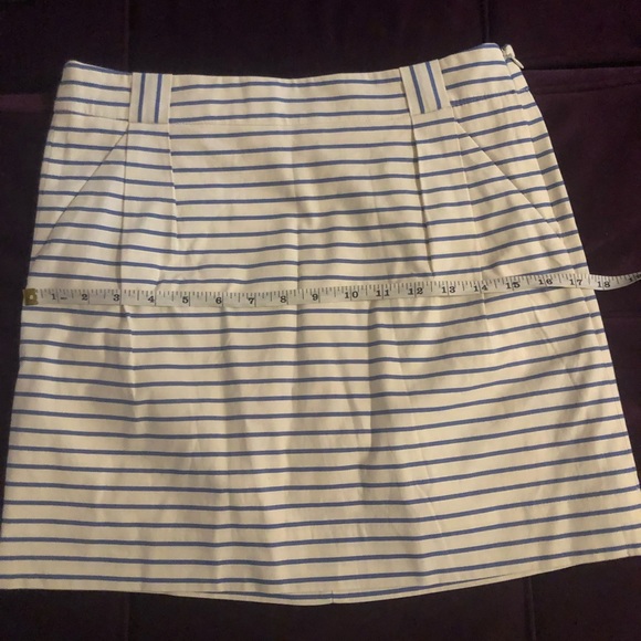 The Limited Striped White & Blue Skirt - Picture 6 of 6